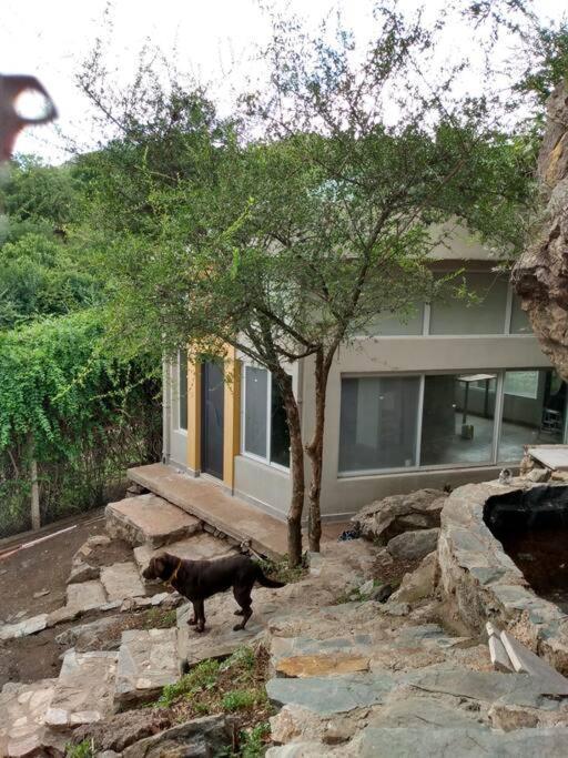 Koba, Una Experiencia Memorable Potrero de los Funes Exterior foto